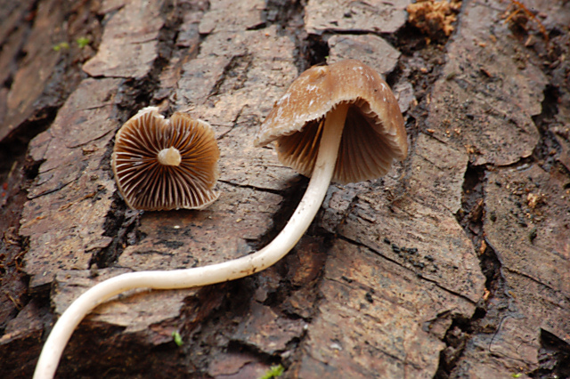 Criticatemi pure senza piet�!